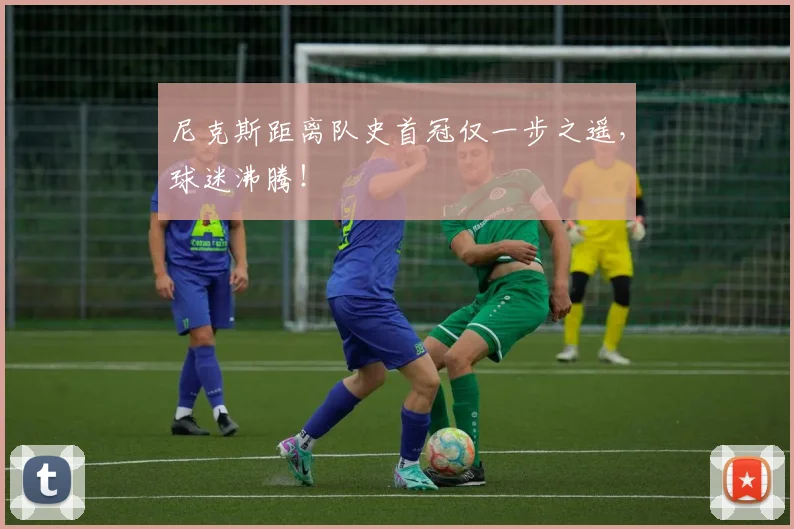 尼克斯距离队史首冠仅一步之遥,球迷沸腾!