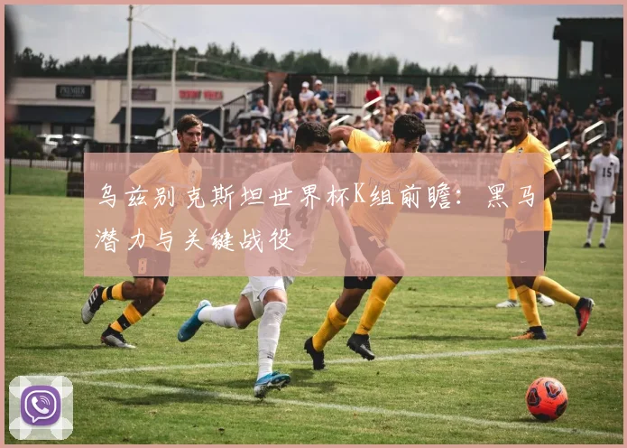 乌兹别克斯坦世界杯K组前瞻：黑马潜力与关键战役
