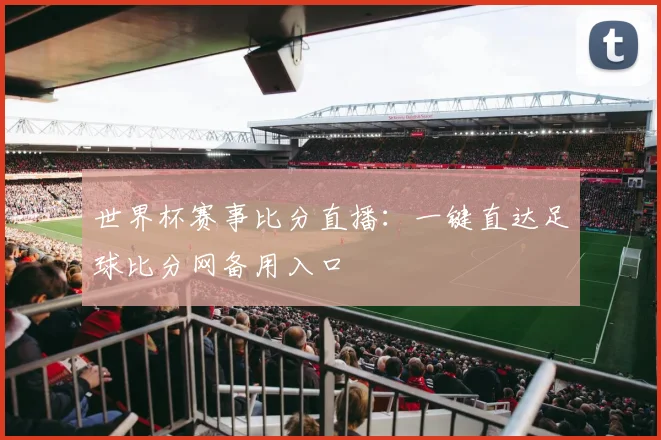 世界杯赛事比分直播：一键直达足球比分网备用入口